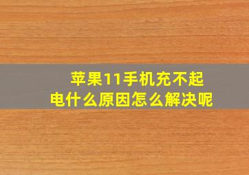 苹果11手机充不起电什么原因怎么解决呢