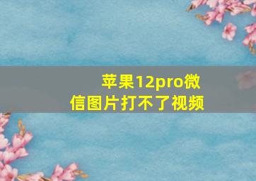 苹果12pro微信图片打不了视频