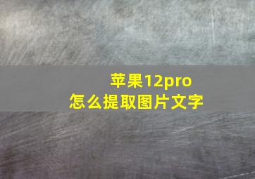 苹果12pro怎么提取图片文字