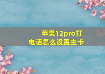 苹果12pro打电话怎么设置主卡