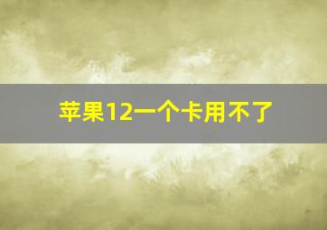 苹果12一个卡用不了