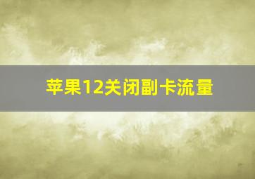 苹果12关闭副卡流量