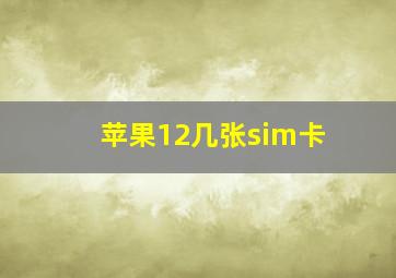 苹果12几张sim卡