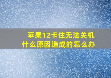 苹果12卡住无法关机什么原因造成的怎么办