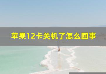 苹果12卡关机了怎么回事