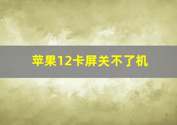 苹果12卡屏关不了机