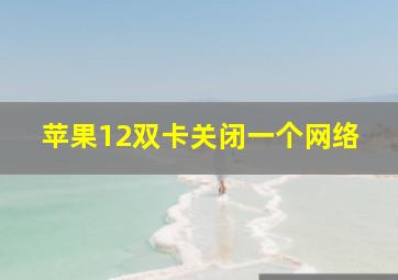 苹果12双卡关闭一个网络