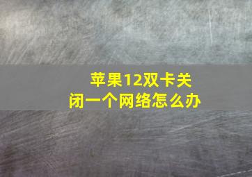 苹果12双卡关闭一个网络怎么办