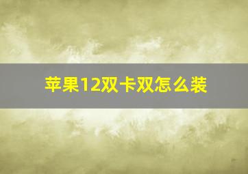 苹果12双卡双怎么装