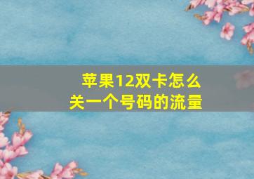 苹果12双卡怎么关一个号码的流量