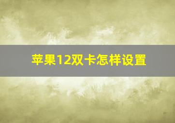 苹果12双卡怎样设置