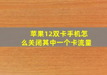 苹果12双卡手机怎么关闭其中一个卡流量