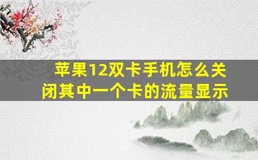 苹果12双卡手机怎么关闭其中一个卡的流量显示