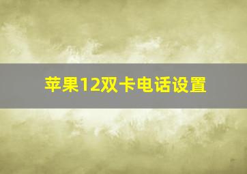 苹果12双卡电话设置