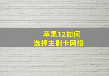 苹果12如何选择主副卡网络