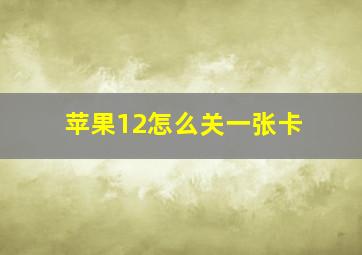 苹果12怎么关一张卡