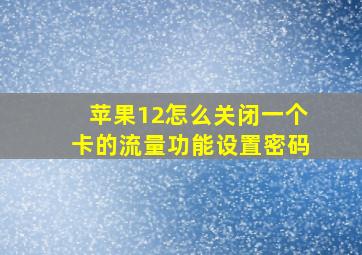 苹果12怎么关闭一个卡的流量功能设置密码