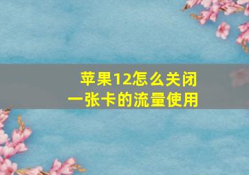 苹果12怎么关闭一张卡的流量使用