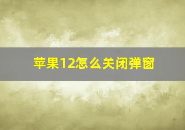 苹果12怎么关闭弹窗