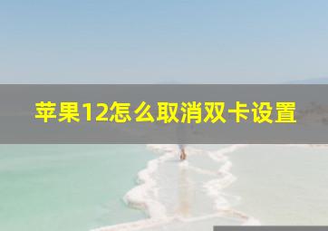 苹果12怎么取消双卡设置