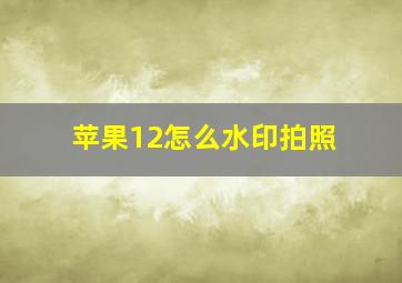 苹果12怎么水印拍照