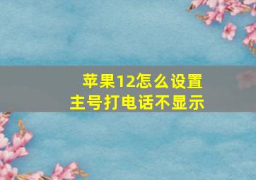 苹果12怎么设置主号打电话不显示