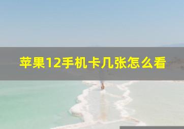 苹果12手机卡几张怎么看