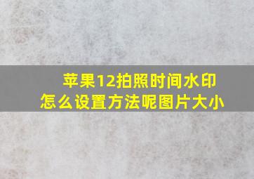 苹果12拍照时间水印怎么设置方法呢图片大小