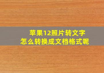 苹果12照片转文字怎么转换成文档格式呢