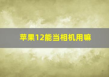 苹果12能当相机用嘛