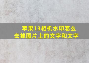 苹果13相机水印怎么去掉图片上的文字和文字