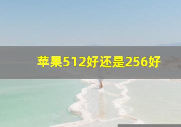 苹果512好还是256好