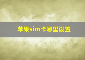 苹果sim卡哪里设置