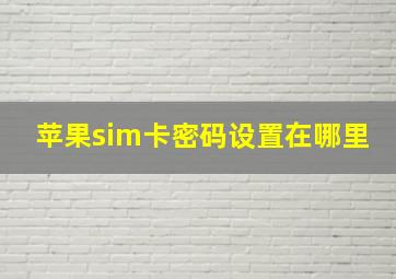 苹果sim卡密码设置在哪里