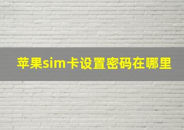 苹果sim卡设置密码在哪里