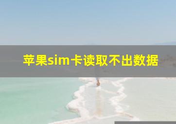 苹果sim卡读取不出数据