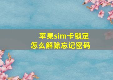 苹果sim卡锁定怎么解除忘记密码