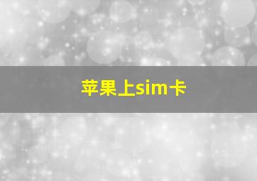 苹果上sim卡