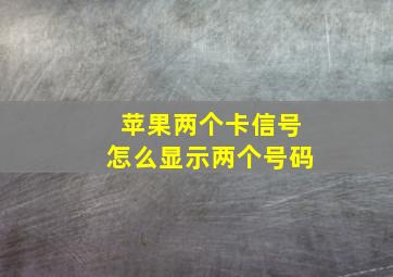 苹果两个卡信号怎么显示两个号码