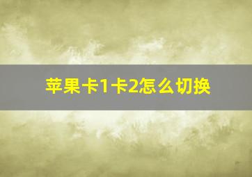 苹果卡1卡2怎么切换