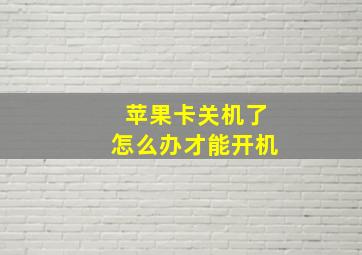 苹果卡关机了怎么办才能开机