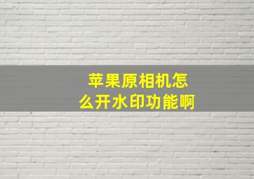 苹果原相机怎么开水印功能啊