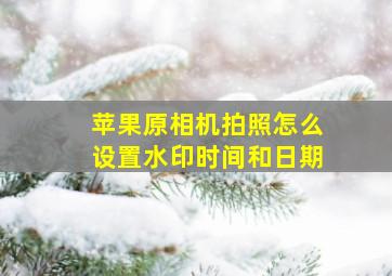 苹果原相机拍照怎么设置水印时间和日期