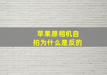 苹果原相机自拍为什么是反的