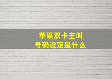 苹果双卡主叫号码设定是什么