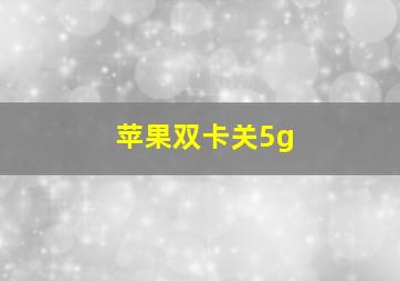 苹果双卡关5g