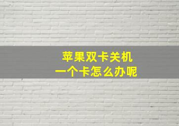 苹果双卡关机一个卡怎么办呢