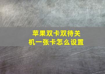 苹果双卡双待关机一张卡怎么设置