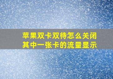 苹果双卡双待怎么关闭其中一张卡的流量显示