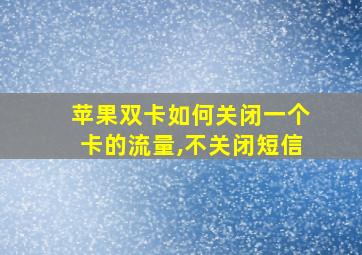 苹果双卡如何关闭一个卡的流量,不关闭短信